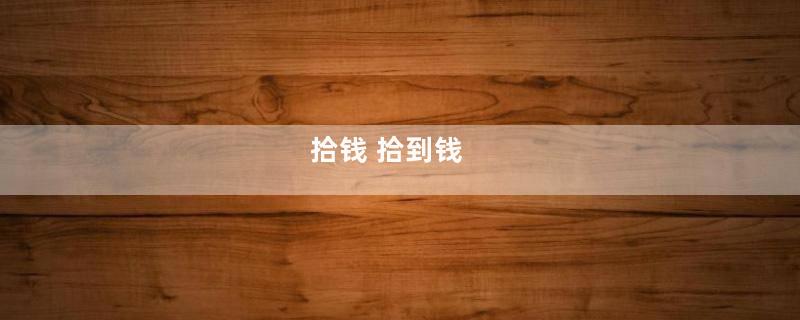 拾钱 拾到钱